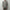 AURALEE 「SUPER LIGHT WOOL CHECK SHIRTS / BROWN CHARCOAL CHECK」