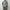 AURALEE 「SUPER LIGHT WOOL CHECK SHIRTS / BROWN CHARCOAL CHECK」