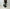 LEMAIRE「SMALL BELTED HOBO BAG IN PAPER LUX LEATHER DARK CHOCOLATE」