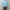 Horses 「HS-K0106 bateau neck pullover / aqua」