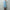 Horses 「HS-K0106 bateau neck pullover / aqua」