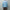 Horses 「HS-K0106 bateau neck pullover / aqua」
