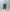 Horses 「HS-K0106 bateau neck pullover / aqua」