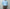 Horses 「HS-K0106 bateau neck pullover / aqua」
