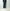 ROLD SKOV 「ASSALUT CARGO DARK ANACARDI」