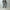 AURALEE 「FADED HEAVY DENIM CENTER-PLEATED PANTS / FADED BLACK」