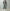 AURALEE 「FADED HEAVY DENIM CENTER-PLEATED PANTS / FADED BLACK」