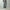 AURALEE 「FADED HEAVY DENIM CENTER-PLEATED PANTS / FADED BLACK」