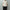 AURALEE 「TUSSAH SILK COTTON MESH KNIT SKIPPER POLO / IVORY」