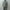 AURALEE 「BLUEFACED WOOL JACKET / KHAKI GRAY STRIPE」