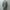 AURALEE 「BLUEFACED WOOL JACKET / KHAKI GRAY STRIPE」