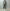 AURALEE 「BLUEFACED WOOL JACKET / KHAKI GRAY STRIPE」