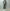 AURALEE 「BLUEFACED WOOL JACKET / KHAKI GRAY STRIPE」