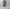 P A C S 「Pumicetone Shorts -R- / Gray」