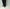 barbell object「bo-06p02 zipper pt / black」