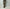 barbell object 「bo-06p05 un sl pt / khaki」