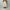 Colbo 「SIDE POCKET SKIRT SANDSTONE」