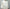 Colbo 「EXTENDED CONE TOP BRUSHED WHITE」