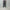 AURALEE 「LIGHT WOOL MAX GABARDINE TWO-TUCK SLACKS / DARK GRAY」