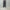 AURALEE 「LIGHT WOOL MAX GABARDINE TWO-TUCK SLACKS / DARK GRAY」