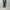 AURALEE 「LIGHT WOOL MAX GABARDINE TWO-TUCK SLACKS / DARK GRAY」