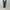 AURALEE 「LIGHT WOOL MAX GABARDINE TWO-TUCK SLACKS / DARK GRAY」