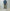AURALEE 「LUSTER PLATING BOAT NECK TEE / DEEP BLUE」