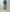 AURALEE 「LUSTER PLATING BOAT NECK TEE / DEEP BLUE」