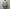 AURALEE「ULTRA FINE TROPICAL WOOL ZIP BLOUSON / LIGHT KHAKI」