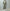 AURALEE「ULTRA FINE TROPICAL WOOL ZIP BLOUSON / LIGHT KHAKI」