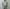 AURALEE「ULTRA FINE TROPICAL WOOL ZIP BLOUSON / LIGHT KHAKI」
