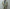 AURALEE「ULTRA FINE TROPICAL WOOL ZIP BLOUSON / LIGHT KHAKI」