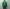 CAMIEL FORTGENS 「18.02.05.01 TRACK JACKET PUNTA JERSEY GREEN」