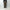 LEMAIRE 「TWISTED BELTED PANTS MOSS GREEN」
