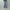 ROLD SKOV 「BOOTCUT PAINTED」