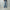 ROLD SKOV 「BOOTCUT PAINTED」