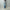 ROLD SKOV 「BOOTCUT PAINTED」