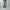 ROLD SKOV 「BOOTCUT PAINTED」