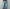 ROLD SKOV 「BOOTCUT PAINTED」