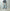 ROLD SKOV 「WIDE DIRTY」
