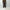 Berner Kühl 「Belt Trouser Memory Chocolate」