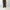 Berner Kühl 「Belt Trouser Memory Chocolate」