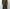 Berner Kühl 「Belt Trouser Memory Chocolate」