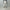 Berner Kühl 「Night Trouser Cord Off White」