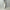 Berner Kühl 「Night Trouser Cord Off White」
