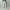 Berner Kühl 「Night Trouser Cord Off White」