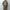 AURALEE 「HOMESPUN TWEED ZIP BLOUSON / BROWN」