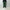 AURALEE 「PIGMENT DYED FINX CORDUROY WIDE 5P PANTS / FOREST GREEN」