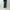 AURALEE 「PIGMENT DYED FINX CORDUROY WIDE 5P PANTS / FOREST GREEN」