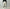AURALEE 「WASHED BAGGY SATIN BLEACHED BAKER PANTS / DUSTY IVORY」